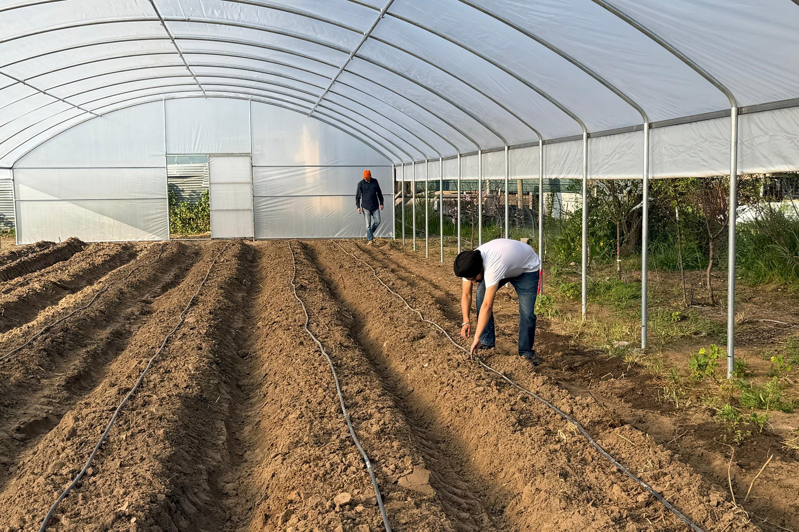 Greenhouse research bed during agricultural field visit