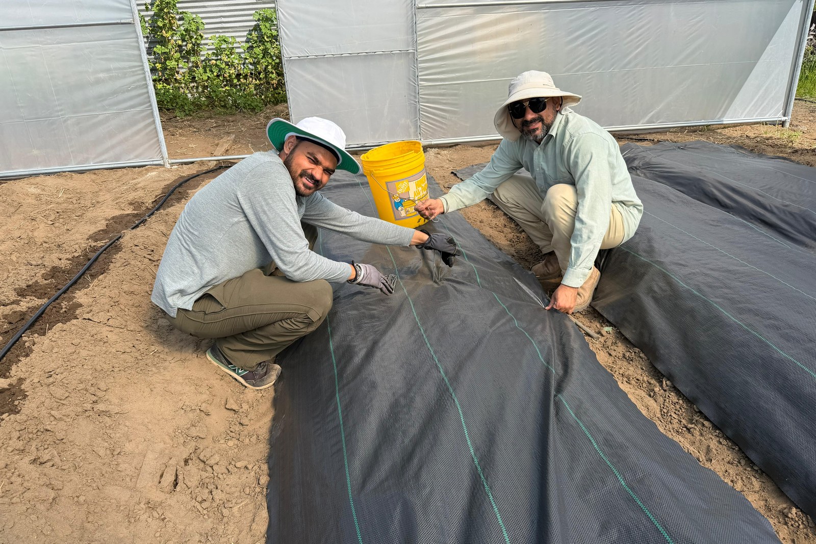 Field activity supporting soil health and agricultural systems research